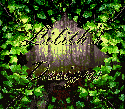 Lilith's Designs Shop Image